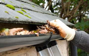 gutter cleaning Gelsmoor, Leicestershire