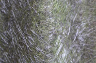 Gelsmoor fibreglass roof work